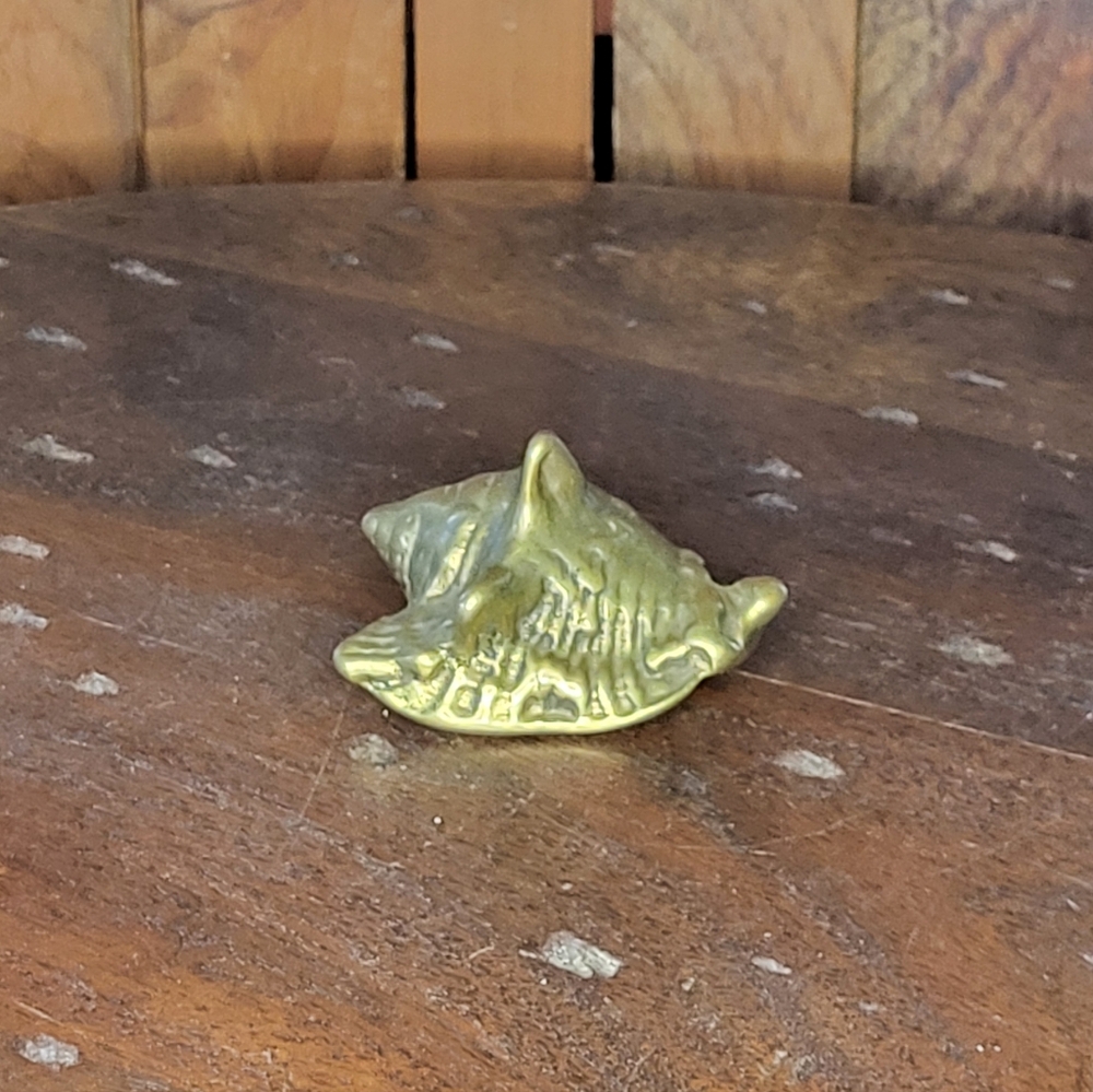 Brass Sea Shell - Picture 4 of 14
